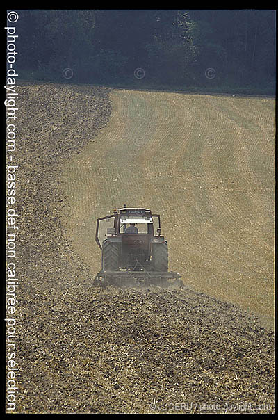 agriculture